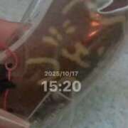 ヒメ日記 2025/10/17 16:48 投稿 一条 愛(あい)【愛濃い目。】 美魔女コレクション別府店