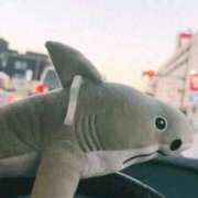 ヒメ日記 2025/11/15 17:34 投稿 一条 愛(あい)【愛濃い目。】 美魔女コレクション別府店