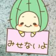 ヒメ日記 2025/12/15 22:24 投稿 一条 愛(あい)【愛濃い目。】 美魔女コレクション別府店