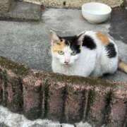 ヒメ日記 2025/06/06 18:02 投稿 桃瀬樹里（じゅり）【魅惑のお尻】 美魔女コレクション別府店