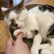 ヒメ日記 2025/06/08 07:46 投稿 桃瀬樹里（じゅり）【魅惑のお尻】 美魔女コレクション別府店