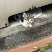 ヒメ日記 2025/06/19 08:36 投稿 桃瀬樹里（じゅり）【魅惑のお尻】 美魔女コレクション別府店