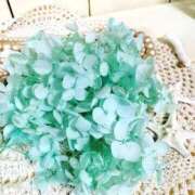 ヒメ日記 2025/06/23 17:46 投稿 桃瀬樹里（じゅり）【魅惑のお尻】 美魔女コレクション別府店