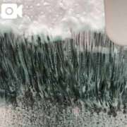 ヒメ日記 2026/03/29 15:34 投稿 桃瀬樹里（じゅり）【魅惑のお尻】 美魔女コレクション別府店