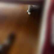 ヒメ日記 2025/08/04 02:34 投稿 心愛(ここあ)【トキメキ巨乳】 美魔女コレクション別府店