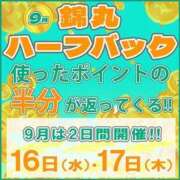 ヒメ日記 2026/09/17 09:24 投稿 小鳥遊（たかなし） 丸妻 錦糸町店