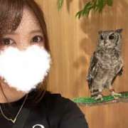 ヒメ日記 2025/08/31 16:59 投稿 にこる スリーパラダイス