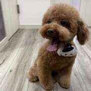 ヒメ日記 2025/10/15 13:49 投稿 にこる スリーパラダイス