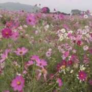 ヒメ日記 2025/10/27 14:19 投稿 にこる スリーパラダイス