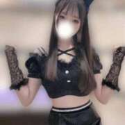 ヒメ日記 2025/09/04 15:54 投稿 Momona THE MUSE