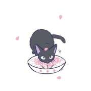 ヒメ日記 2025/11/05 15:07 投稿 まみ（激カワ素人×現役ナース！ ハニービー（Honey Bee）