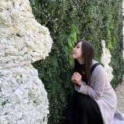 ヒメ日記 2025/12/07 06:48 投稿 わか 池袋人妻ヒットパレード（シンデレラグループ）