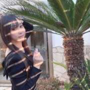 ヒメ日記 2025/12/21 06:45 投稿 わか 池袋人妻ヒットパレード（シンデレラグループ）