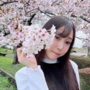 ヒメ日記 2026/04/06 06:45 投稿 わか 池袋人妻ヒットパレード（シンデレラグループ）