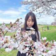 ヒメ日記 2026/04/17 06:45 投稿 わか 池袋人妻ヒットパレード（シンデレラグループ）