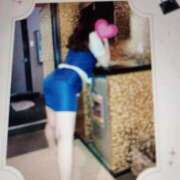 ヒメ日記 2025/10/09 18:39 投稿 ちはる 熟女総本店