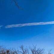 ヒメ日記 2025/11/19 09:11 投稿 せいか 春日部人妻花壇