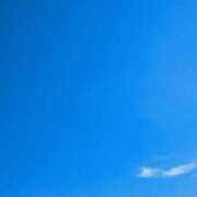 ヒメ日記 2025/11/20 13:21 投稿 せいか 春日部人妻花壇