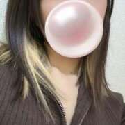 ヒメ日記 2025/06/12 15:02 投稿 神田　ひかり YUDEN～油殿～堺東店