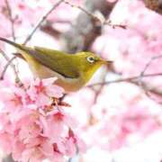 ヒメ日記 2026/02/28 10:49 投稿 すみれ 人妻こゆびの約束久喜店