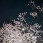 ヒメ日記 2026/04/18 18:40 投稿 みみ みせすはーと