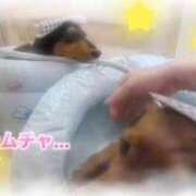 ヒメ日記 2025/08/19 13:05 投稿 松本 りか ベストマダム