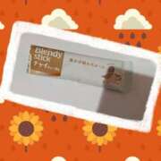 ヒメ日記 2025/11/17 21:25 投稿 松本 りか ベストマダム