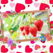 ヒメ日記 2026/03/10 12:38 投稿 松本 りか ベストマダム