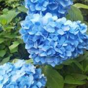 ヒメ日記 2025/06/10 11:09 投稿 まみ 舐めフェチの会