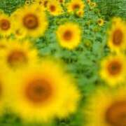 ヒメ日記 2025/08/18 19:09 投稿 まみ 舐めフェチの会