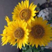 ヒメ日記 2025/08/25 18:43 投稿 まみ 舐めフェチの会