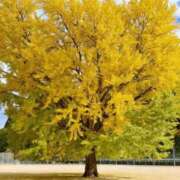 ヒメ日記 2025/11/13 01:32 投稿 まみ 舐めフェチの会