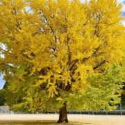 ヒメ日記 2025/11/19 08:57 投稿 まみ 舐めフェチの会