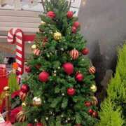 ヒメ日記 2025/11/29 20:18 投稿 まみ 舐めフェチの会