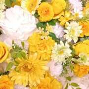 ヒメ日記 2026/03/24 09:00 投稿 まみ 舐めフェチの会