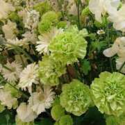 ヒメ日記 2026/03/30 10:14 投稿 まみ 舐めフェチの会