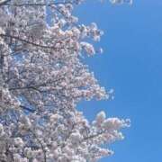 ヒメ日記 2026/04/12 10:14 投稿 まみ 舐めフェチの会