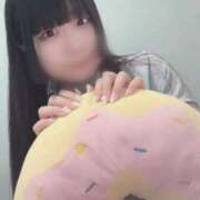 ヒメ日記 2025/06/17 10:42 投稿 きらり 萌えカワ