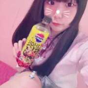 ヒメ日記 2025/07/31 16:33 投稿 きらり 萌えカワ