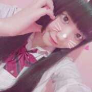 ヒメ日記 2025/10/29 08:22 投稿 きらり 萌えカワ