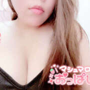 ヒメ日記 2025/09/12 15:46 投稿 あみ 僕のぽっちゃり伝説