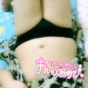 ヒメ日記 2025/09/15 17:05 投稿 あみ 僕のぽっちゃり伝説