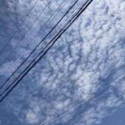 ヒメ日記 2025/06/29 09:53 投稿 れいか スピードエコ日本橋店