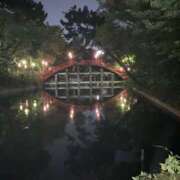 ヒメ日記 2025/07/31 13:29 投稿 れいか スピードエコ日本橋店