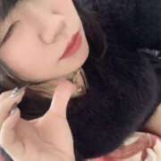 れいか れいか（エコ日本橋店） スピードエコ日本橋店