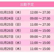 れいか れいか（エコ日本橋店） スピードエコ日本橋店