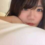 ヒメ日記 2026/02/12 23:59 投稿 れいか スピードエコ日本橋店