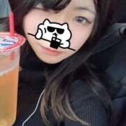 ヒメ日記 2026/02/23 17:19 投稿 れいか スピードエコ日本橋店