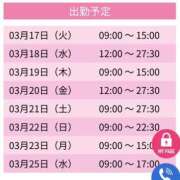 れいか れいか（エコ日本橋店） スピードエコ日本橋店