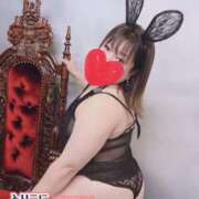 ヒメ日記 2025/06/20 07:05 投稿 あいみ 待ちナビ